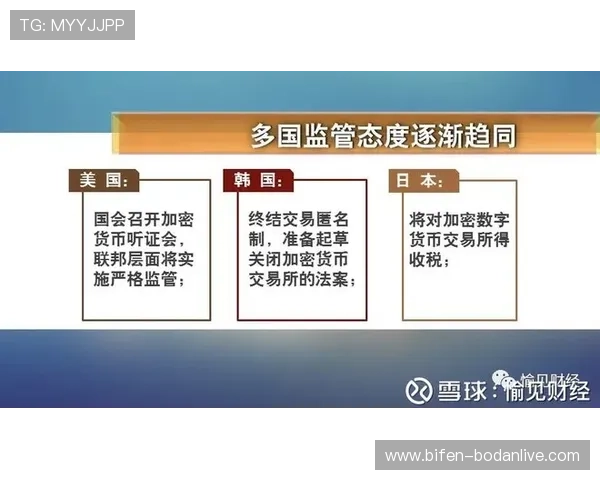 稳胆是什么意思 泛体育平台避坑防骗对比评测